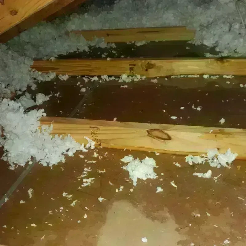 Attic Water Damage in Sauk Centre, MN